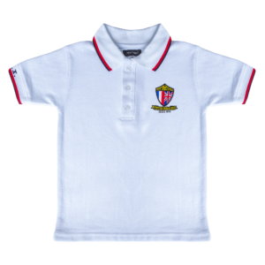 PLAYERA CUELLO POLO DE DIARIO